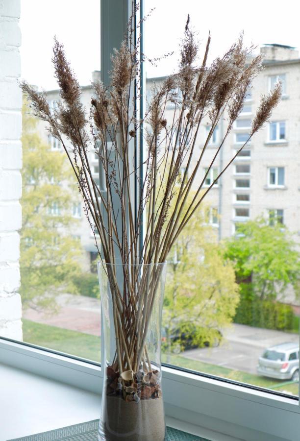 Neptune Ear, Family-Friendly, Modern, Fully-Equipped, Cozy Apartment Ventspils Exteriör bild
